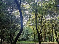 -杭州植物园