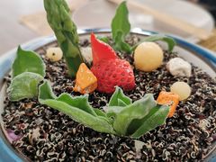 -素心小筑(后沙裕镇店)