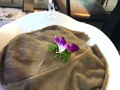 -锅说大脸毛肚重庆老火锅(佐阾店)
