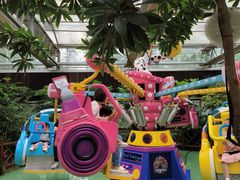 -南宫五洲植物乐园