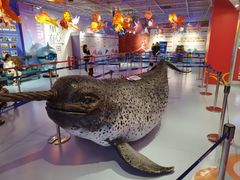 -正佳极地海洋世界