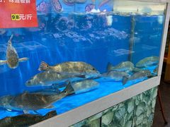 水产区-船梆煮•蒸汽海鲜·炉火烤肉(五四广场店)