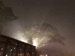 -草山夜未眠景观餐厅