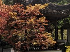 -重庆园博园