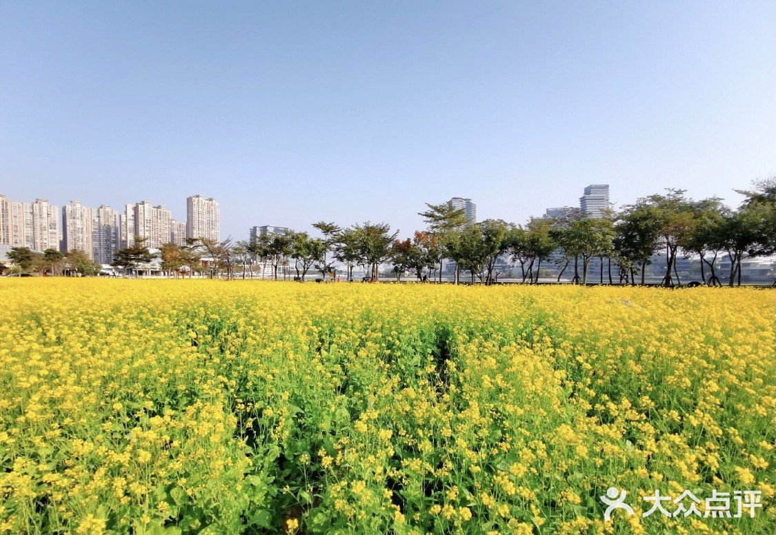 0️⃣元打卡厦门新晋网红拍照地❗