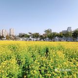 0️⃣元打卡厦门新晋网红拍照地❗