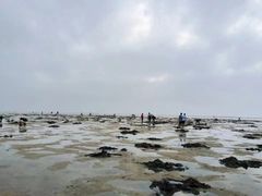 -北海金海湾红树林生态旅游区