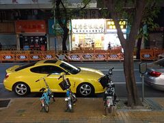 -達揚原味燉品(文明路店)
