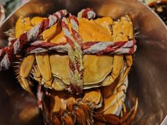 -河北宾馆·香溢自助餐(裕华店)