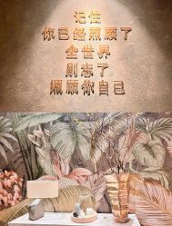 点击看大图 -iSpa