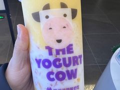 -一只酸奶牛(春熙路店)