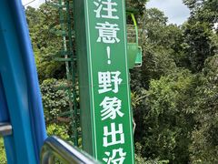 -野象谷景区