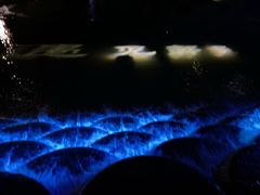 -阿军烧烤(安吉店)