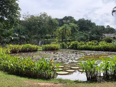 -中国科学院西双版纳热带植物园