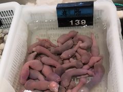 -老虎滩船说·海胆水饺·大连海鲜(老虎滩店)
