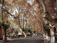 -T80科技文化国际社区-停车场