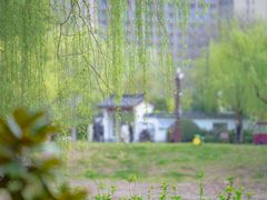 -堤角公园