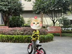 -趣动熊运动发展中心(乐坊校区)
