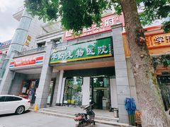 -半岛宠物医院24小时(科华中路店)