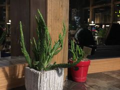 -NLFS1983咖啡花园餐厅(锦桂店)