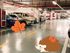 -国家会展中心-P3停车场