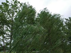 -中国天府农业博览园