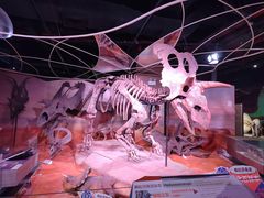 -正佳自然科学博物馆