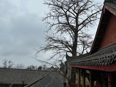 -金堂县云顶石城风景区