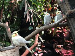 -正佳雨林生态植物园