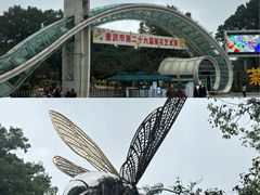 -南山植物园