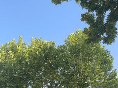 -欧韵公园
