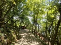 -千岛湖东南湖区
