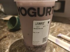 -一只酸奶牛(洪崖洞11楼店)