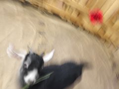 -正佳雨林生态植物园