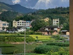 -福建土楼（华安）旅游区•大地土楼群