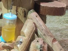 -正佳雨林生态植物园