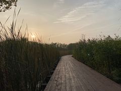 -永定河休闲森林公园