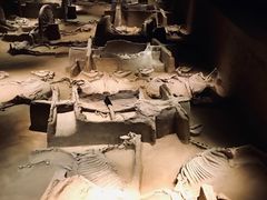 -洛阳周王城天子驾六博物馆