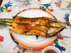 -新疆风味冷水鱼庄(友谊峰路店)