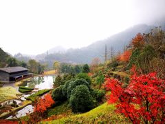 -中国黔江城市大峡谷