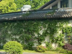 -杭州西湖柳莺里酒店