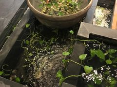 -皇城根茶馆(兴隆都市馨园店)