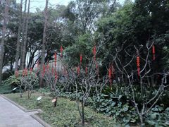 -上海醉白池公园
