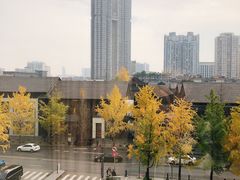 -成都尼依格罗酒店