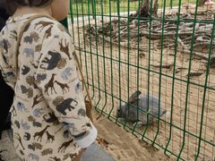 -三亚海棠湾万丽度假酒店