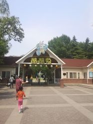 -酷酷兔少儿拓展天地