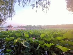 -长春市南湖公园