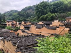-杨家堂村