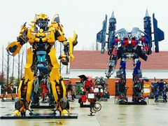 -上海长兴岛郊野公园