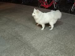 -地锅传奇(水产西路店)